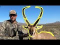 90+” ANTELOPE OF A LIFETIME {AZ super raffle with HPO}