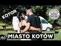 MIASTO KOTÓW - KOTOR - Czarnogóra