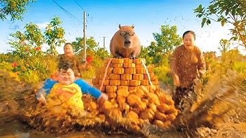 Capybara và bà - Capy siêu nhân kì này tới số với bà #capybara