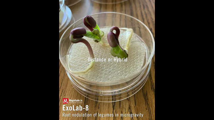 Your invitation to ExoLab 8 by Lori Waters