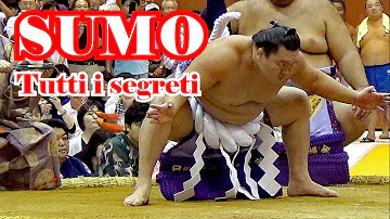 Quanti lottatori di sumo ci sono?