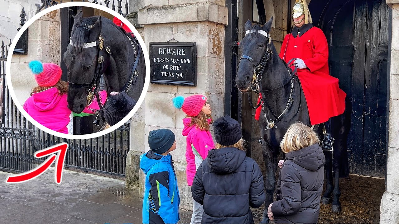 Horse Bites a Girl & She said Silly Horse stop! YouTube