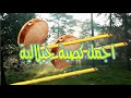 جيلالةجيلاليات صحاب الحالjilala 2021 6