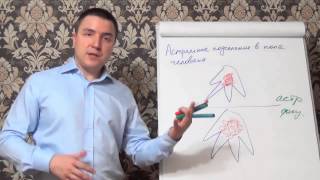 Астральное подселение в поле человека как сделать порчу Астральное подселение в поле человека как сделать порчу