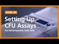How to Set Up Hematopoietic Colony-Forming Unit (CFU) Assays