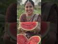 🍉 खेत से ताज़े रसीले तरबूज़ की Harvesting | Amazing Watermelon Harvest | #shorts #organic #farming