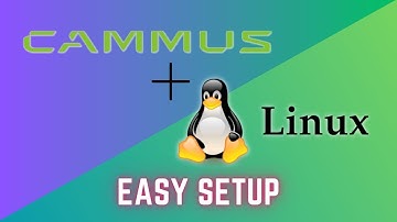 Cammus C5 Force Feedback Linux Kernel Drivers