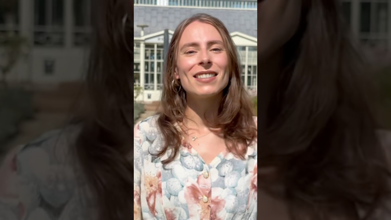 Fortunes - What a wonderful World