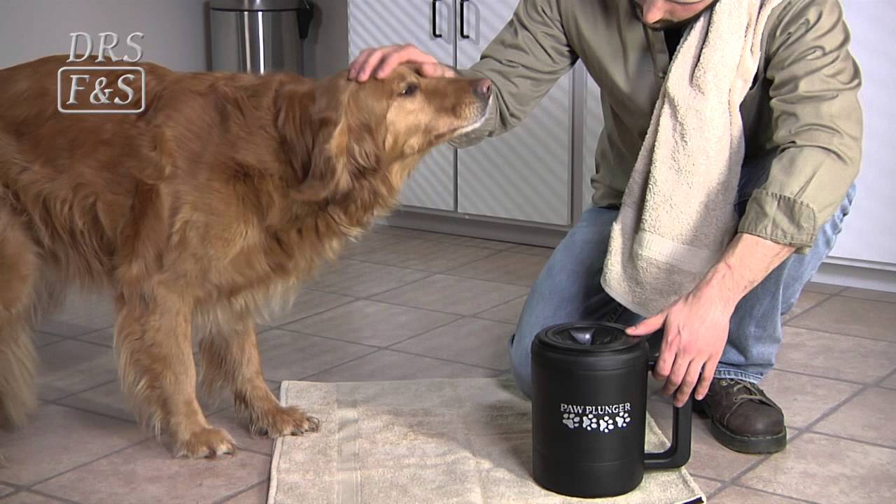 paw plunger large for dogs