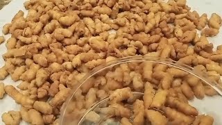 Kue Garpu Gurih Rasa Kencur (Isi Ulang Isi Kue Lebaran)