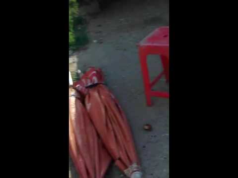 ពស់/sneak