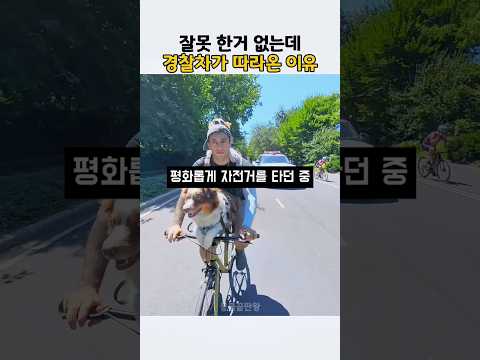 산책 중 경찰차가 따라온 이유 #강아지 thumbnail
