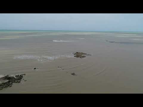 Mussunungas_Sul_Bahia_LAT17
