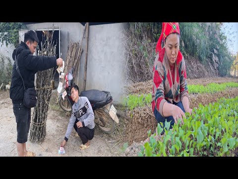 Quang Sells Firewood For A Living But Faces Harsh Words From His Ex Lover Because He Likes Ms Thu Quang Sells Firewood For A Living But Faces Harsh Words From His Ex Lover Because He Likes Ms Thu