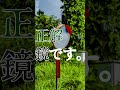 【民俗学】30秒で謎が深まる鏡の民俗学【雑学、考察、民俗学、トリビア、解説、歴史】#shorts #民俗学