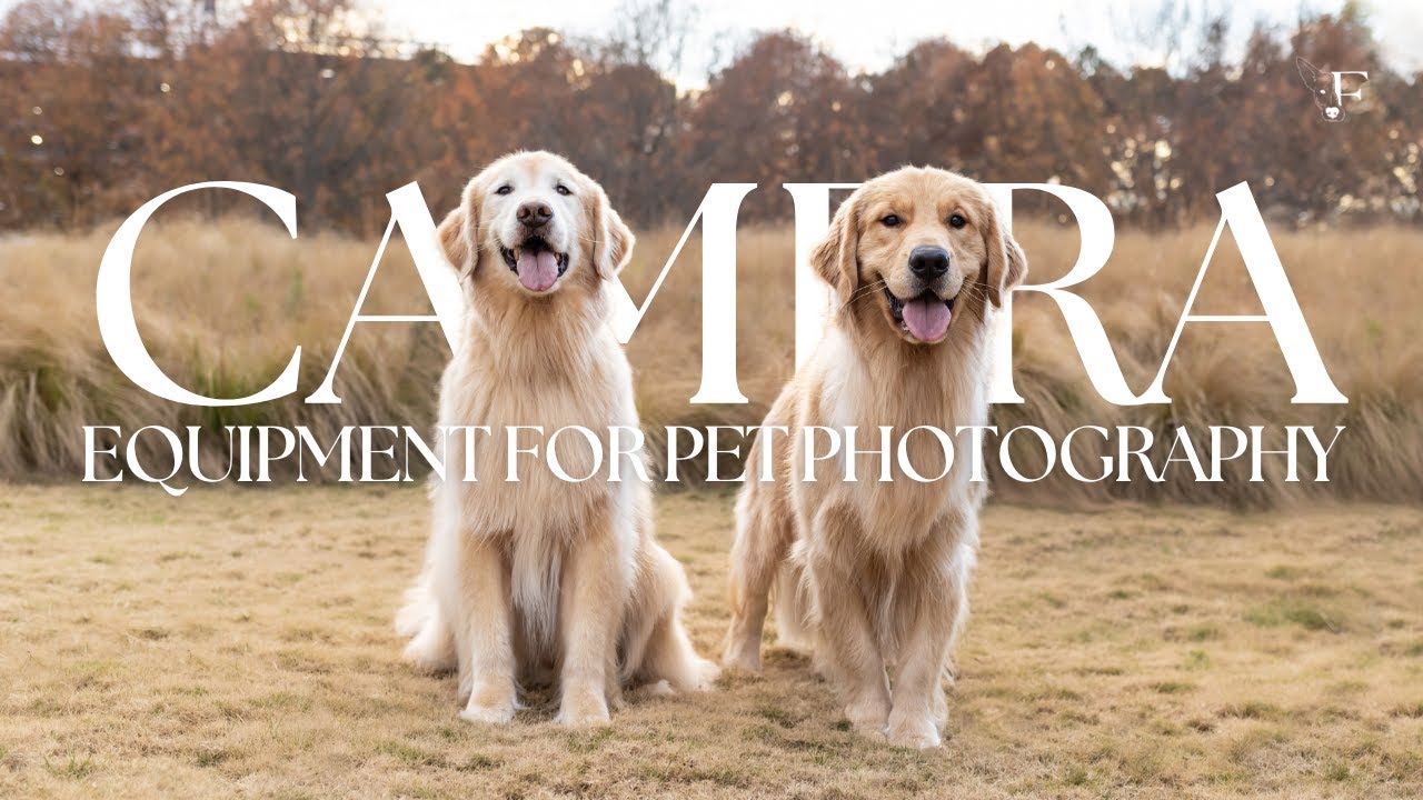 camera-equipment-for-natural-light-pet-portraits-pet-photography