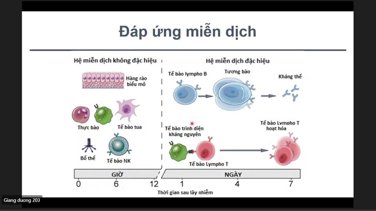 NỘI 3-4 | BỆNH VIÊM KHỚP DẠNG THẤP