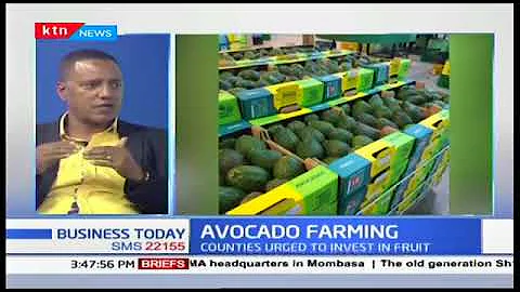 Nathan Loyd Ndungu CEO Avo-Veg Talks about Avocado...