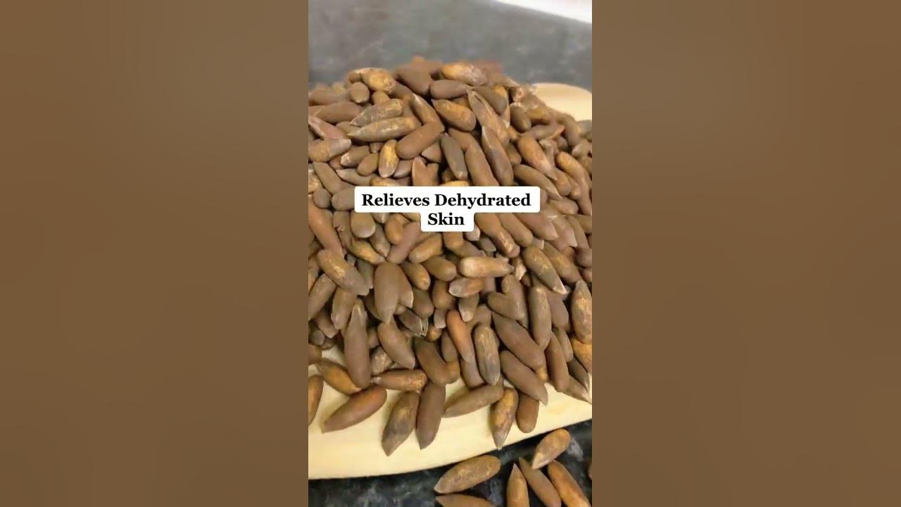 pine-nuts-most-expensive-dry-fruit-youtube