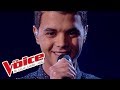 Louane – Je vole | Yann’Sine Jebli | The Voice France 2015 | Prime 1