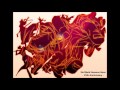 Guilty Gear Xrd Sign Original Soundtrack - Six Black Heavens Guns (25th Anniversary)