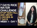 7 DAYS RICE WATER CHALLENGE ! HOW TO GROW HAIR 3 INCHES IN 7 DAYS & Stop Hair fall in a DAY [HAIR]-1