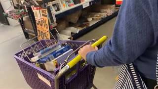Shop With Me Vlog! My Trip to the Blick Outlet and Five Below