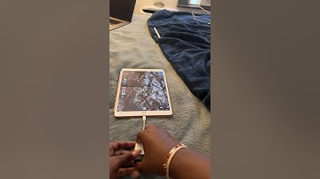 How to use an iPhone/iPad SD card reader *demonstration*