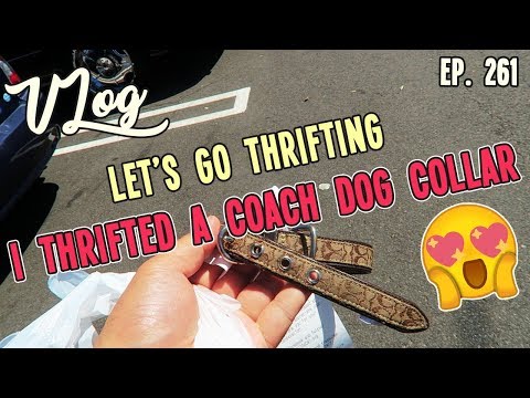 daily-thrifting-trip-|-i-thrifted-a-coach-dog-collar-|-lets-go-thrifting-|-vlog-ep.-261