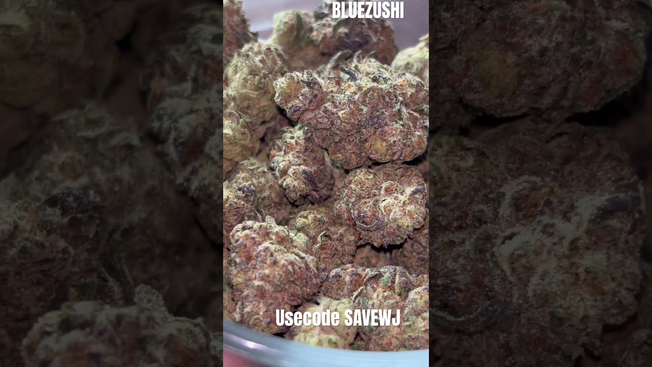 LIT FARM BLUE ZUSHI PREFERRED 🔥🔥