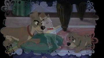 Animash-Blame it on the Pop