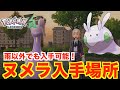 【ポケモンレジェンズZA】レアポケモン「ヌメラ」の入手方法と出現場所について!雨の日以外でも入手可能!