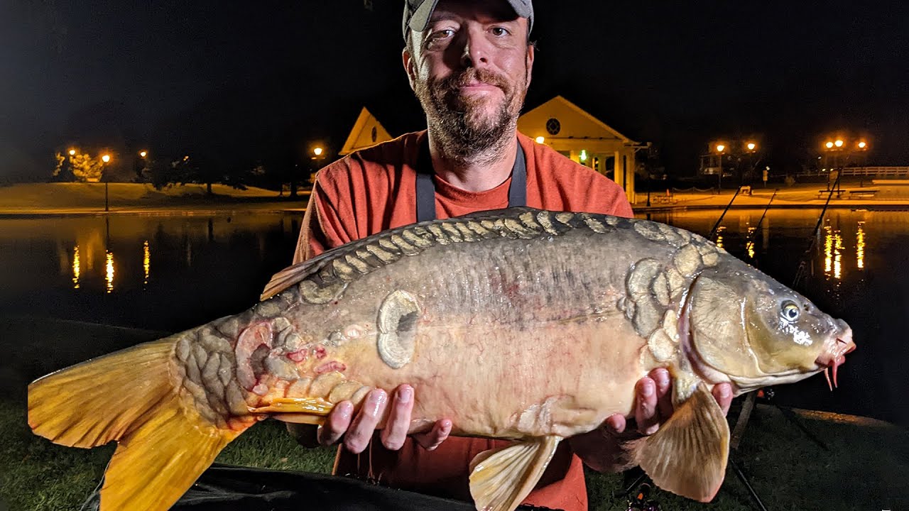 Fall Carp Fishing At The White House (Big Carp Action) YouTube