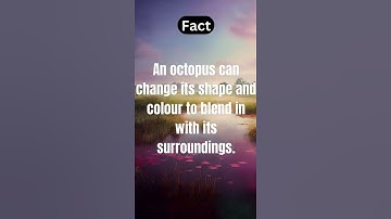An octopus can change its..#shorts #viral