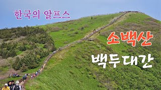 한국의 알프스 소백산 백두대간.  [107] / 산 따라 길 따라