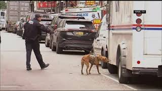 Another suspicious package at NYC postal facility