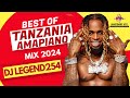 The ultimate tanzanian amapiano mix 2024 dj legend254 diamond harmonize jux marioo alikiba 