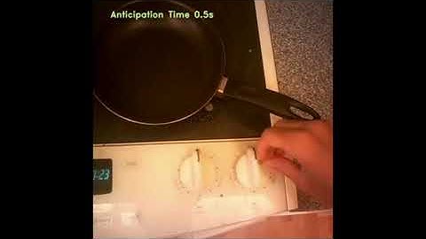 Forecasting Human Object Interaction: Demo
