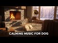 12 hours of Music for Dogs : Calming Sounds for Separation Anxiety and Deep Sleep 😌🐾