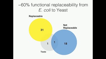 A Kachroo: Deciphering common principles governing gene replaceability in yeast.