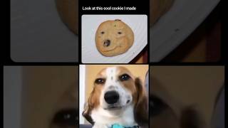 Cookie 🍪