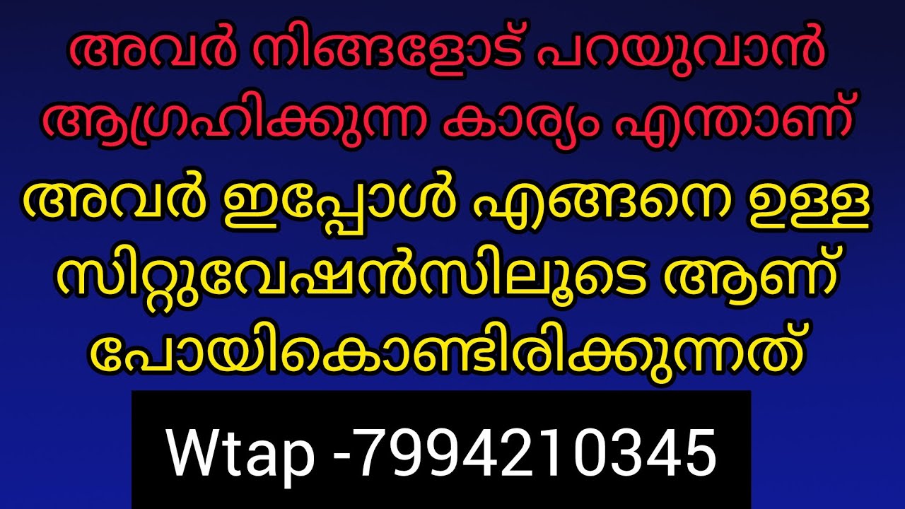 ❤️✨നിങ്ങൾ മനസ്സിൽ വിചാരിക്കുന്ന വ്യക്തിയുടെ കറന്റ്‌ സിറ്റുവേഷൻ അവർ നിങ്ങളോട് പറയുവാൻആഗ്രഹിക്കുന്നത്