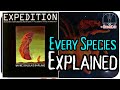 Expedition species explained for 1 hour  yma daggerwrist arrowtongue groveback