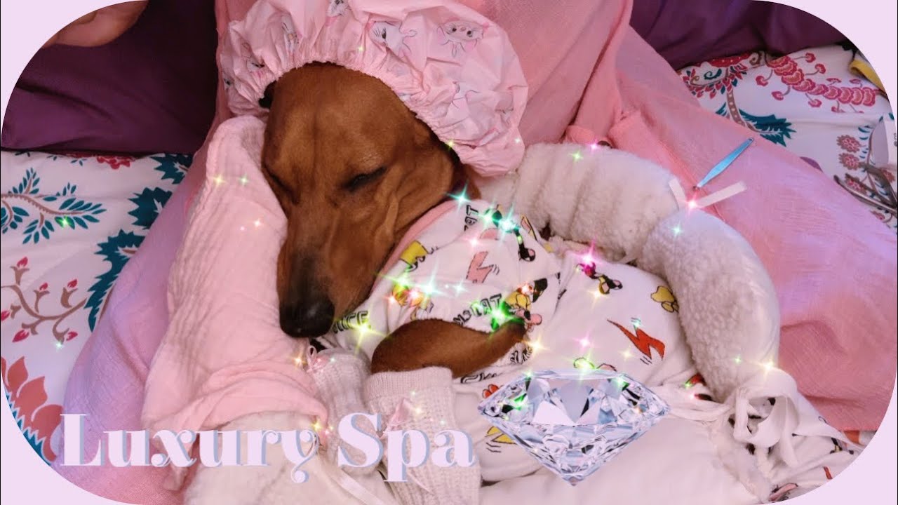 ASMR | 💎💅🏻 EXFOLIACIÓN FACIAL Y MANICURE DE LUJO A PANDORA | LUXURY SPA