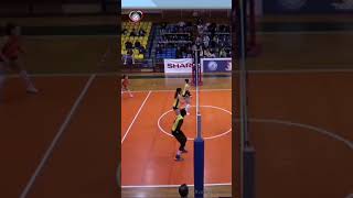 🎞️ Ξένια Κακουράτου - Highlights #kakouratou #volleyleaguew #cev #volleyball #volleylovegr