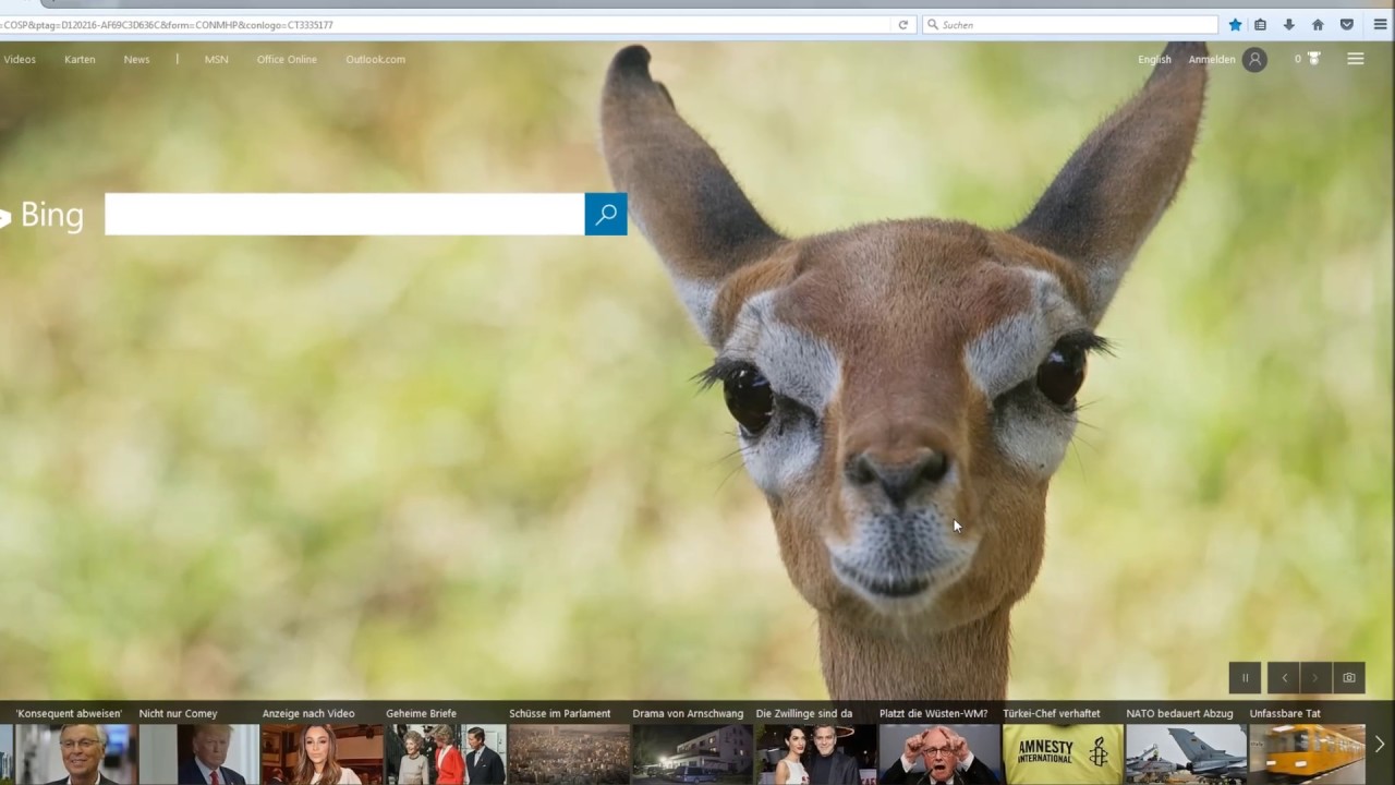 Seit wann gibt es Lamas in Bing?!? - YouTube