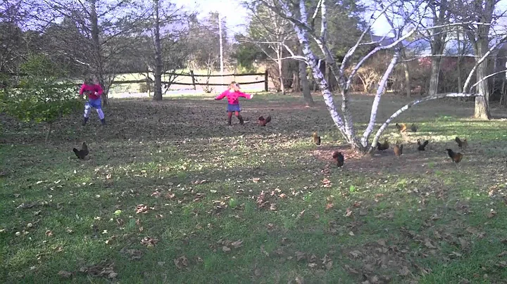 Attack Chickens