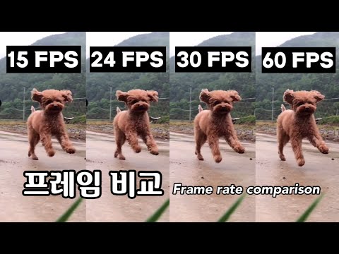 Difference in Frame rates 15 FPS vs 24 FPS vs 30 FPS vs 60 FPS