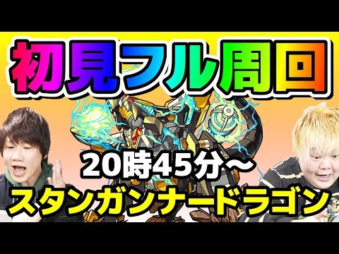 モンスト生配信 新クエスト スタンガンナードラゴン を初見フル周回 星5以下 弱点無し 地雷効果up こっタソ 怪物彈珠 Youtube