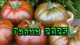 :       2025